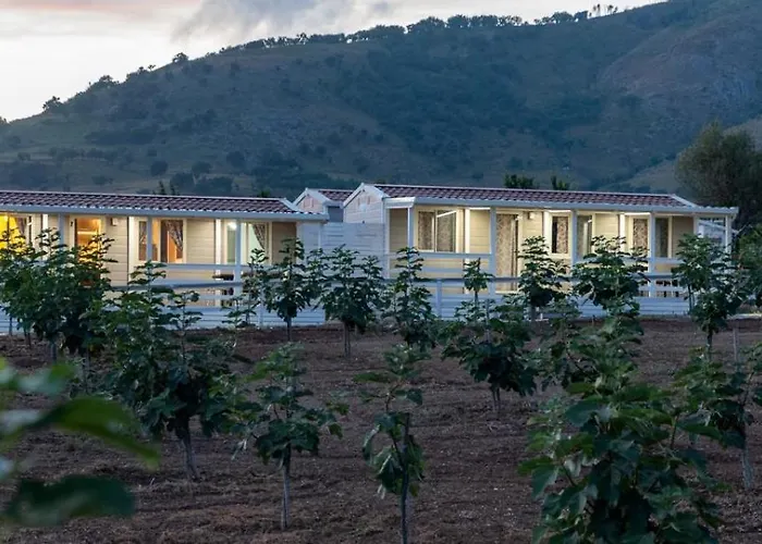 U Fico Du Biggiunu * Santa Domenica Talao